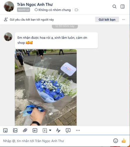Phan ho ve bo hoa cam tu cau xanh