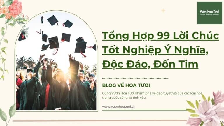 banner lời chúc tốt nghiệp đại học