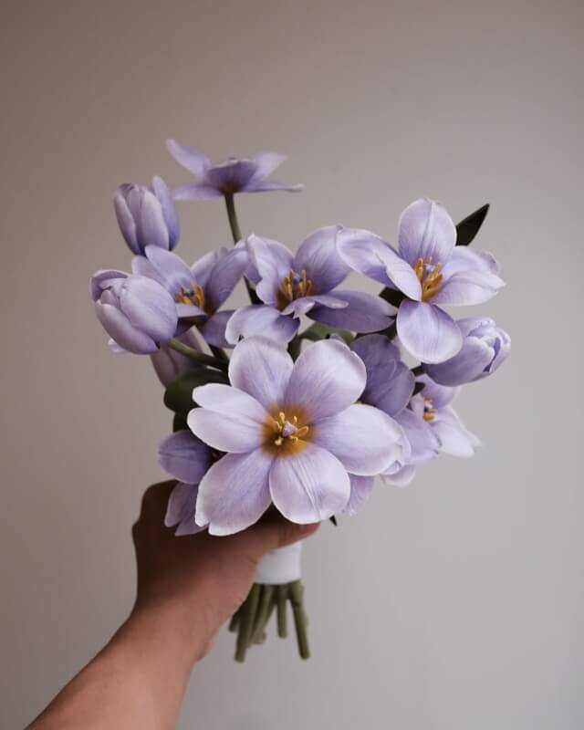 Hoa tulip tím dùng làm hoa cô dâu trong ngày cưới.