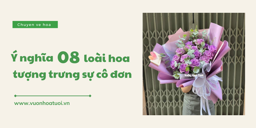 Ý nghĩa 08 loài hoa tượng trưng cho sự cô đơn đẹp đến nao lòng loai hoa tuong trung cho su co don