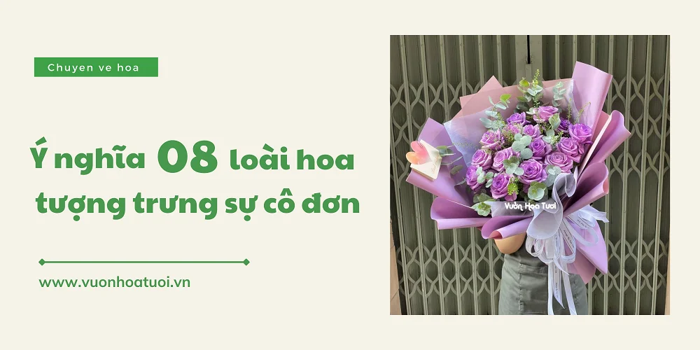 Ý nghĩa 08 loài hoa tượng trưng cho sự cô đơn đẹp đến nao lòng loai hoa tuong trung cho su co don png