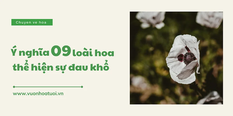 loai hoa tuong trung cho su dau kho 1 png