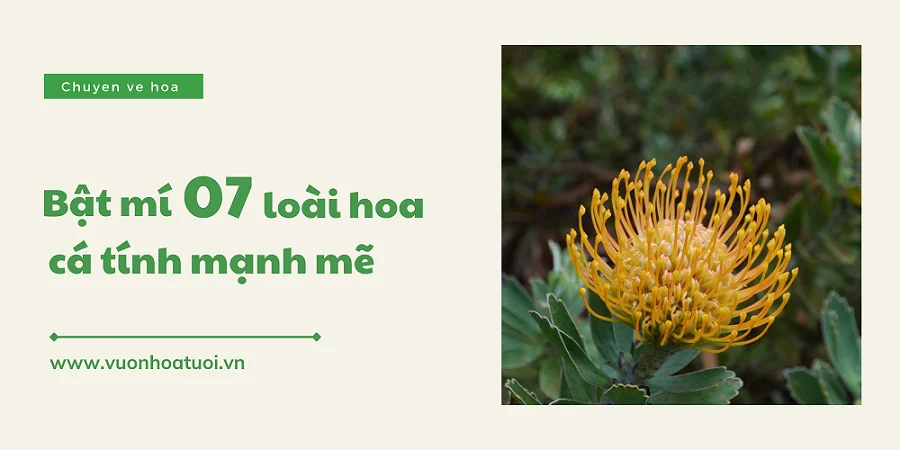 loai hoa tuong trung cho su manh me 1 png