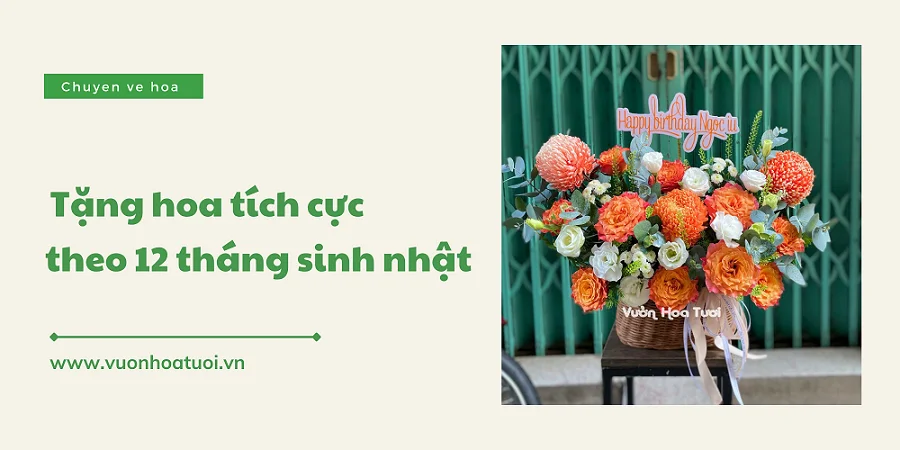 loai hoa tuong trung cho su tich cuc png