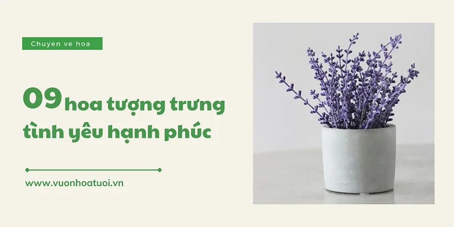 loai hoa tuong trung cho tinh yeu 1 png