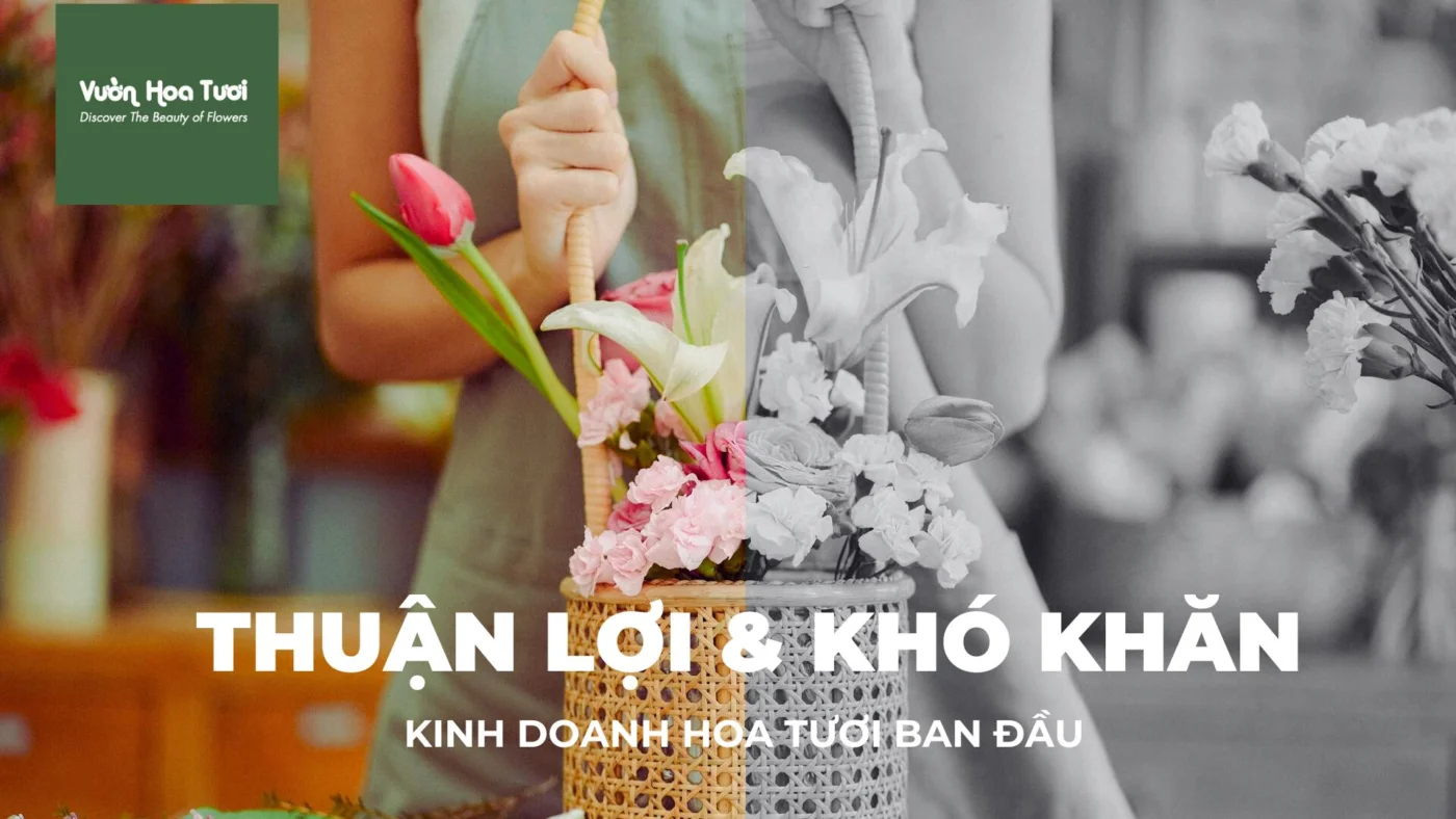 thuận lợi và khó khăn khi kinh doanh hoa tươi