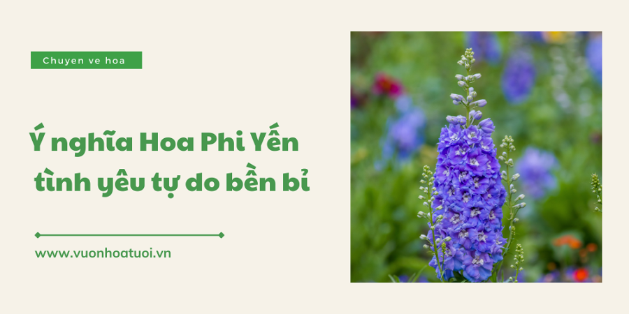 Ý nghĩa hoa phi yến: Biểu tượng của tâm hồn và tình yêu tự do y nghia hoa phi yen 2