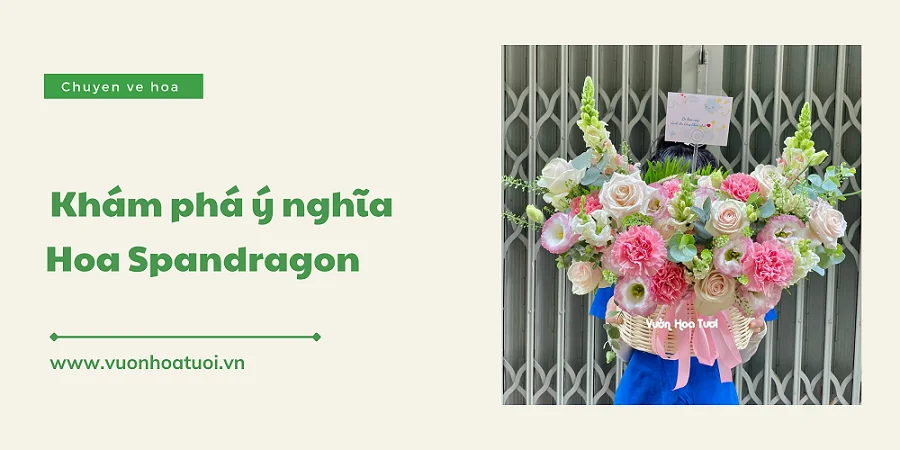 y nghia hoa snapdragon 3 png