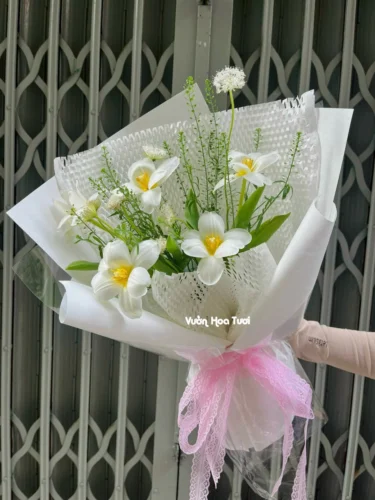 Bó Hoa Tulip Trắng Vườn Hoa Tươi