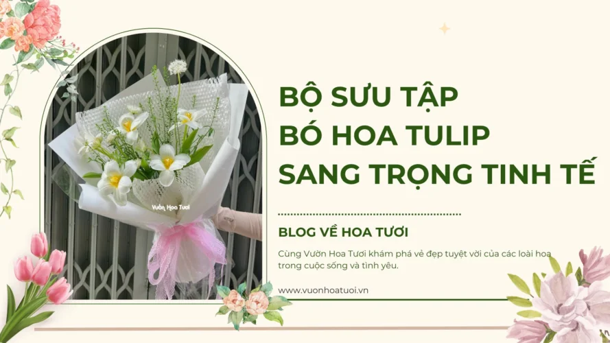 Bộ Sưu Tập Bó Hoa Tulip