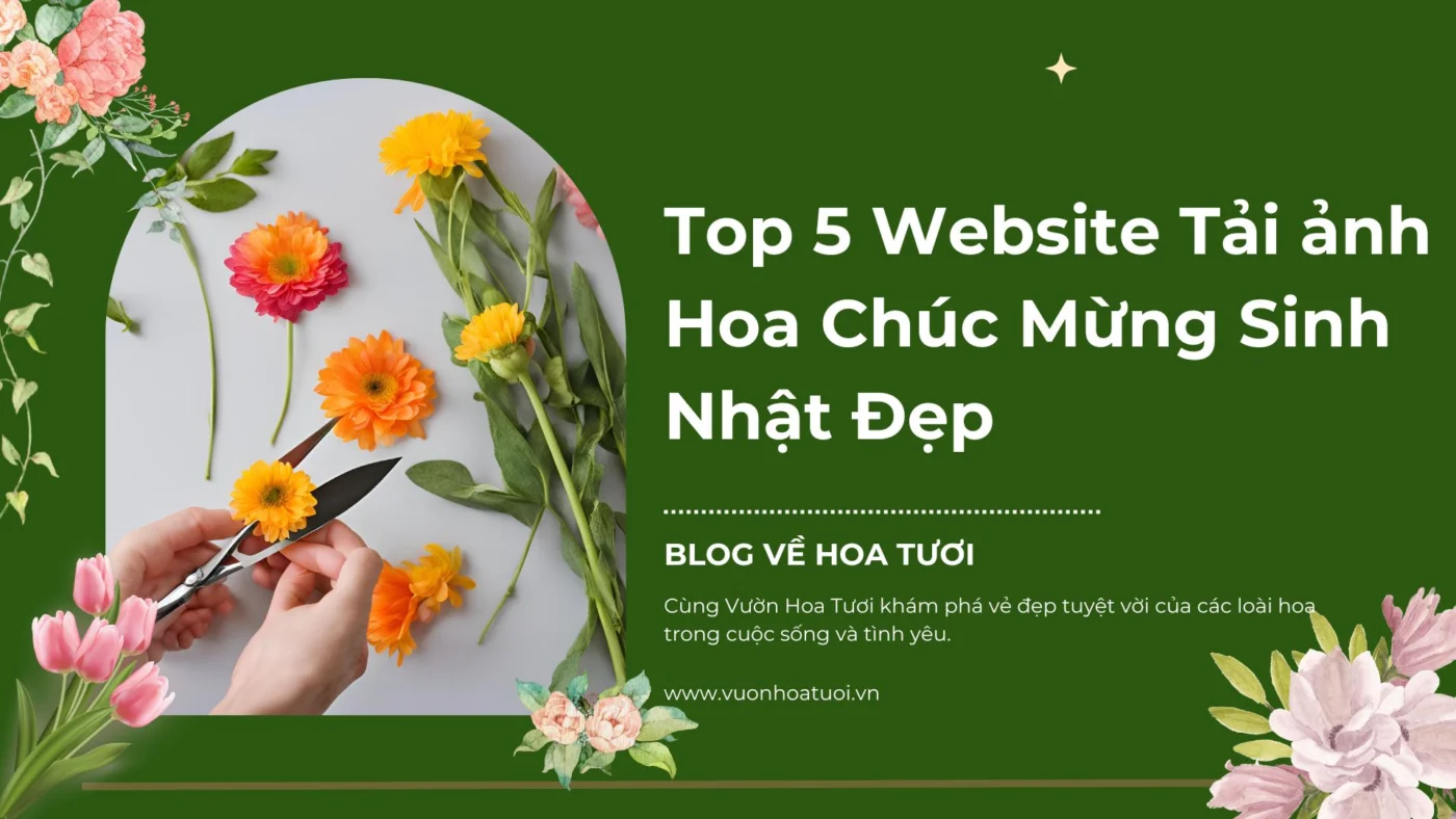 Top 5 Website Tải ảnh Hoa Chúc Mừng Sinh Nhật Đẹp