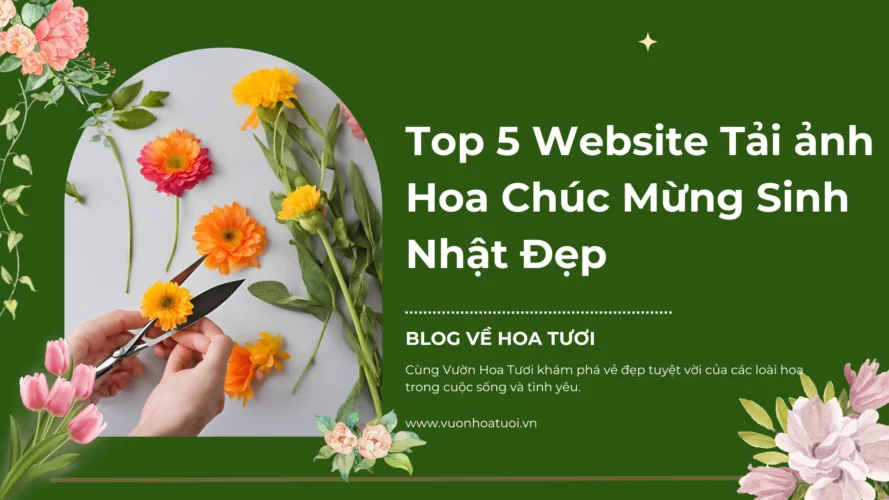 Top 5 Website Tải ảnh Hoa Chúc Mừng Sinh Nhật Đẹp Top 5 Website Tải ảnh Hoa Chúc Mừng Sinh Nhật Đẹp