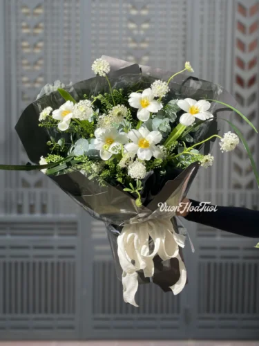 Tulip Flower Sweet Blossom