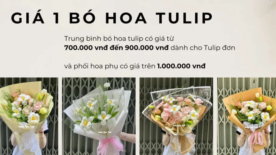 bó hoa tulip bao nhiêu tiền