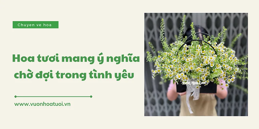 loai hoa tuong trung cho su cho doi 3 png