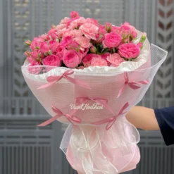 Hoa 20 Tháng 10 Sophie & Pink Rose