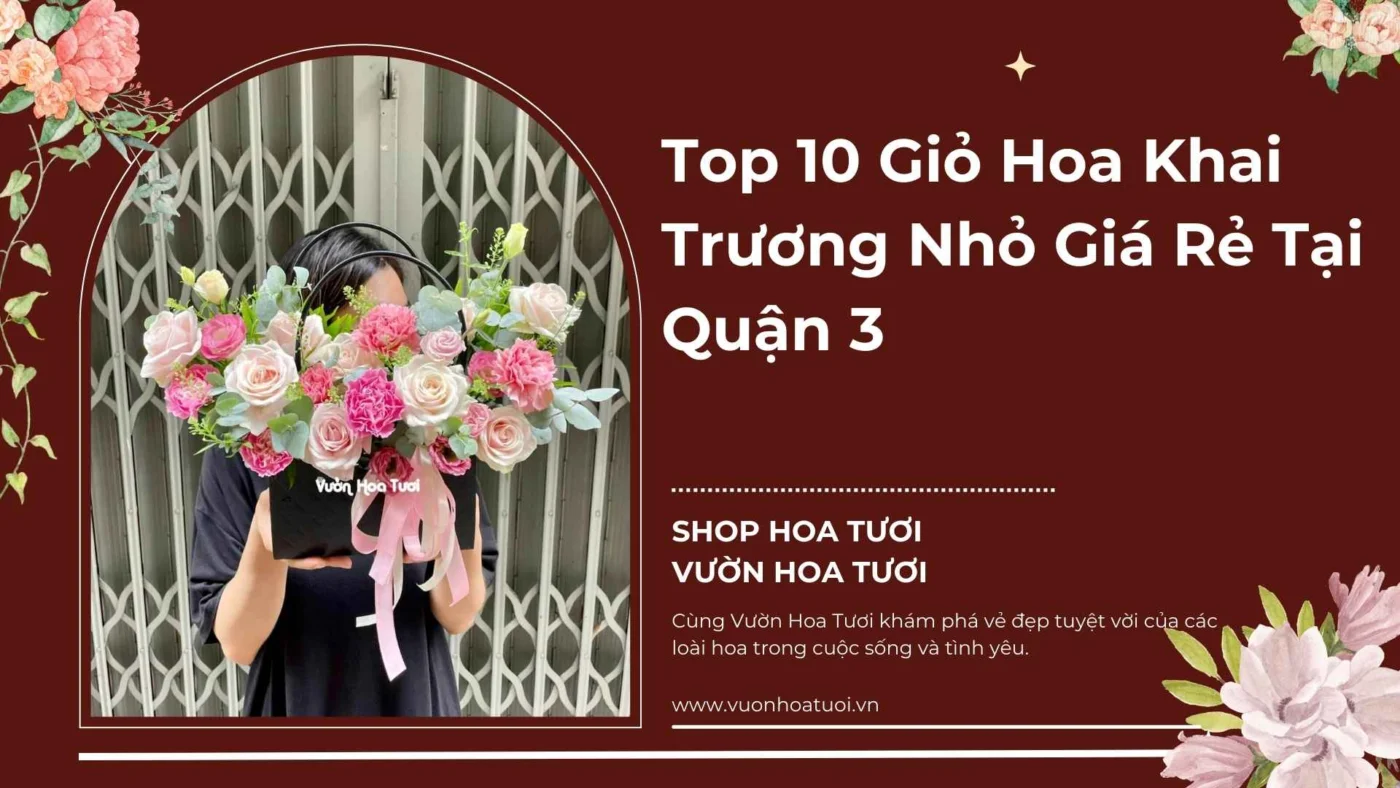 Top 10 Giỏ Hoa Khai Trương Nhỏ Giá Rẻ Tại Quận 3