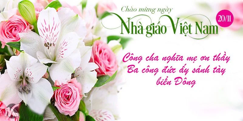 hoa và lời chúc 20 tháng 11