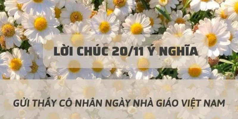 hoa và lời chúc 20 tháng 11