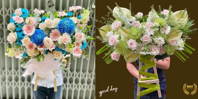 ke hoa 20 thang 11 15 jpg