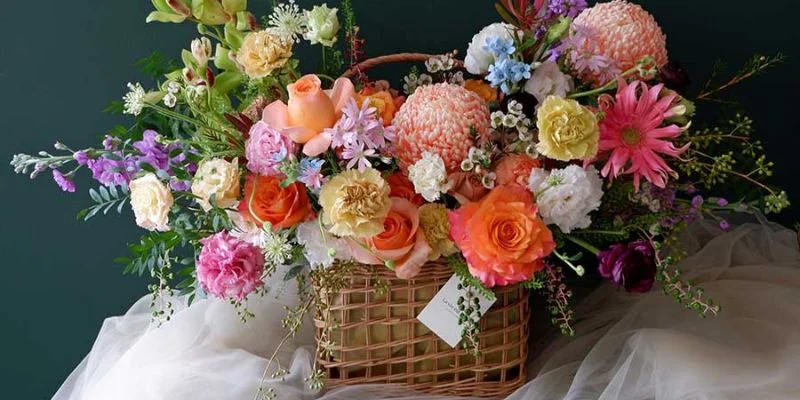 lang hoa 20 thang 11 2 jpg