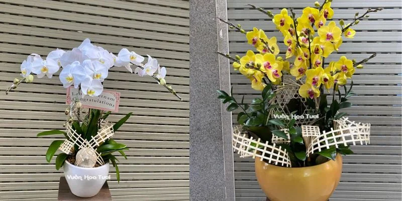 lẵng hoa 20 tháng 11