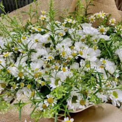 Bó Hoa Rustic Tana z6072476324290 f584370e1e749906e240f142de88a792 jpg