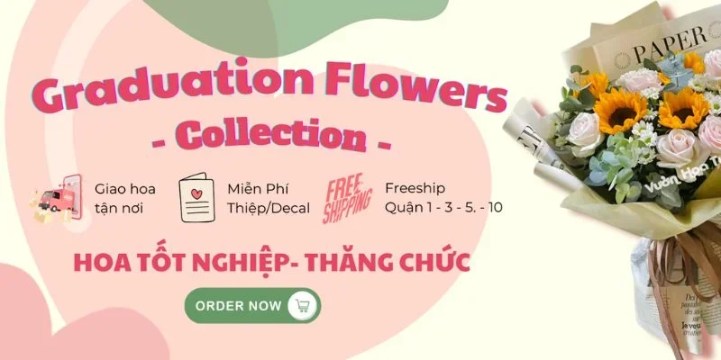 Đi dự lễ tốt nghiệp nên tặng hoa gì? 5+ loài hoa lý tưởng Đi dự lễ tốt nghiệp nên tặng hoa gì