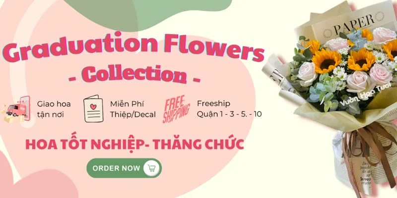 tại sao tốt nghiệp tặng hoa hướng dương
