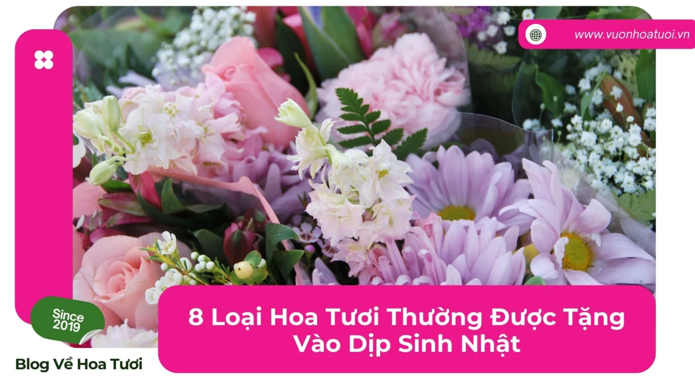 hoa tươi sinh nhật