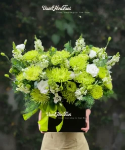 Lẵng Hoa Khai Trương Verdant Prosperity