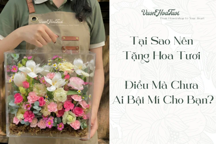 Tại Sao Nên Tặng Hoa Tươi Mà Chưa Ai Bật Mí Cho Bạn?