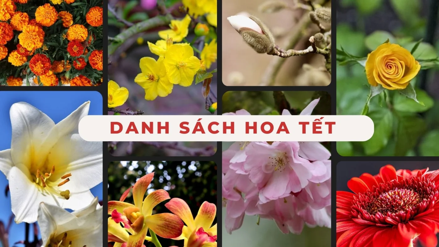 danh sach hoa Tet