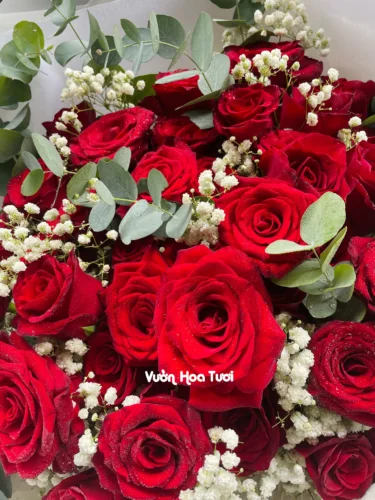 8 Loại Hoa Tươi Thường Được Tặng Vào Dịp Sinh Nhật z5635251360737 9e5800b2530300a0f2f8a70f3177b506