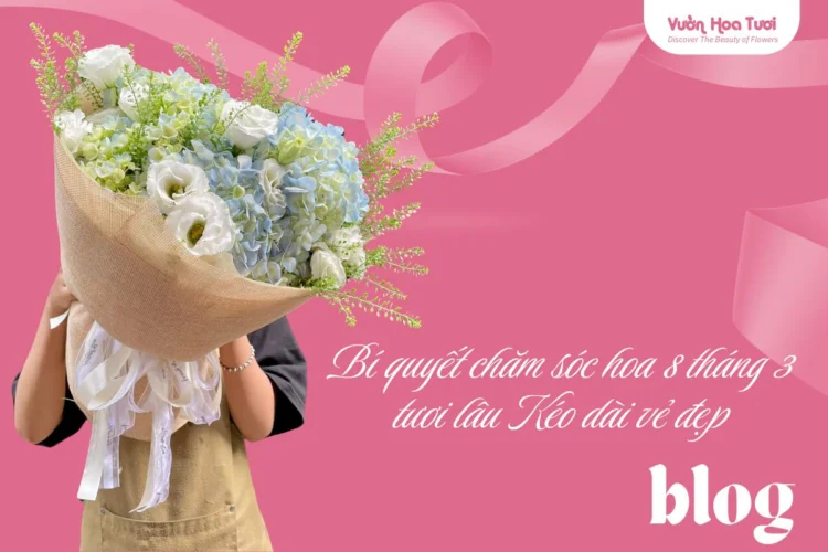 Blog Chăm Hoa 8 Tháng 3