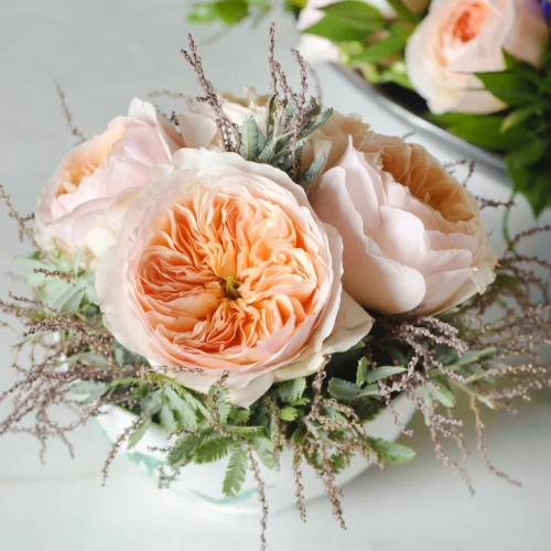 Ý Nghĩa Hoa Hồng Juliet Nàng Thơ Tình Yêu, Biểu Tượng Vẻ Đẹp Vượt Thời Gian David Austin Juliet