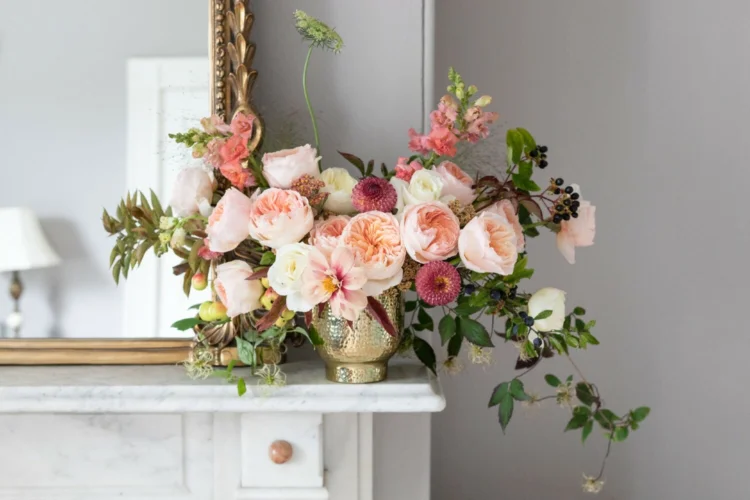 Ý Nghĩa Hoa Hồng Juliet Nàng Thơ Tình Yêu, Biểu Tượng Vẻ Đẹp Vượt Thời Gian david juliet rose