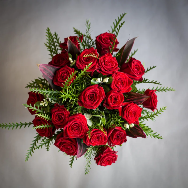 y nghia hoa hong nhung