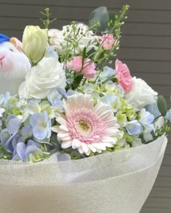 Bo Hoa Cam Tu Cau Hamster 2