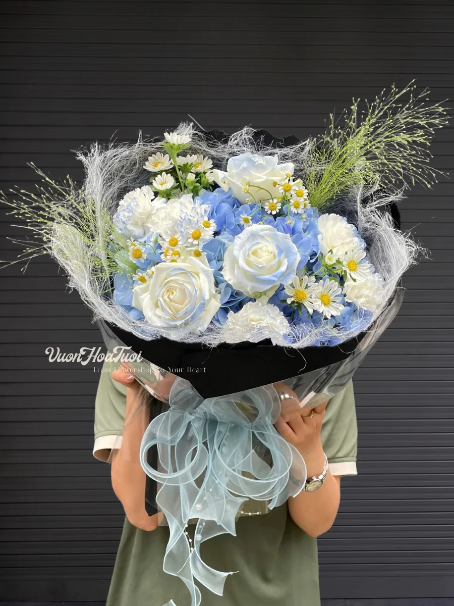 Hydrangea Harmony 2
