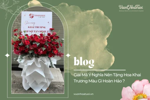 Nên Tặng Hoa Khai Trương Màu Gì