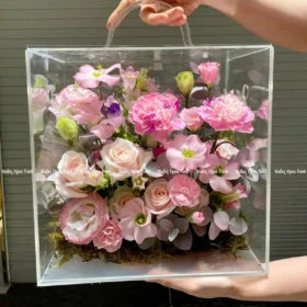 Hộp Hoa Mica Lucent Pastel