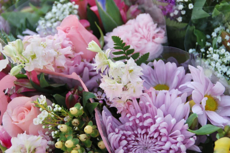 loài hoa tượng trưng cho sự kết thúc 