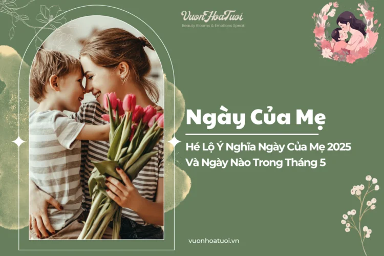 Ngày Của Mẹ 2025 Là Ngày Nào? Tại Sao Ai Cũng Mong Chờ? ngay cua me 5