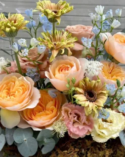 z6466092669706 e732fec83b8ee26230cdf0a9a6130004