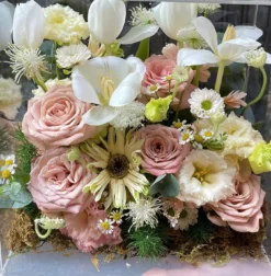 z6519050350969 b30f039155d440824725c5f23063a090