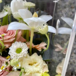 z6519050390949 916c48abe3e9400e381839b6c181412a