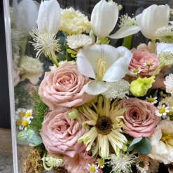 z6519050669127 5a08ad8b09e395ba0d70fcf97b11dcab