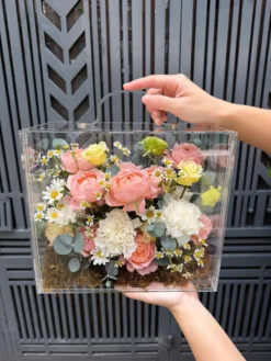 hộp hoa tươi mica