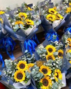 Bo Hoa Su Kien Huong Duong Cep Blue2